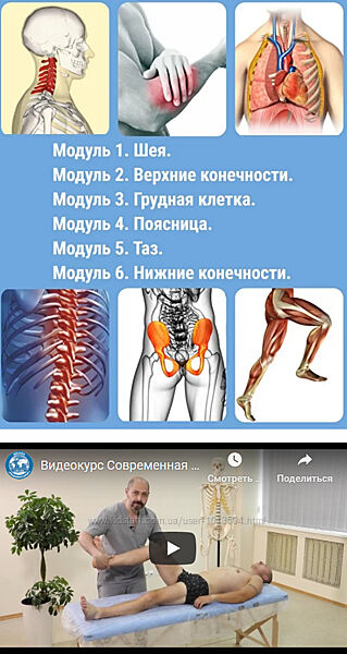 Мануальная терапия мышечно-скелетных дисфункций Олег Агеев