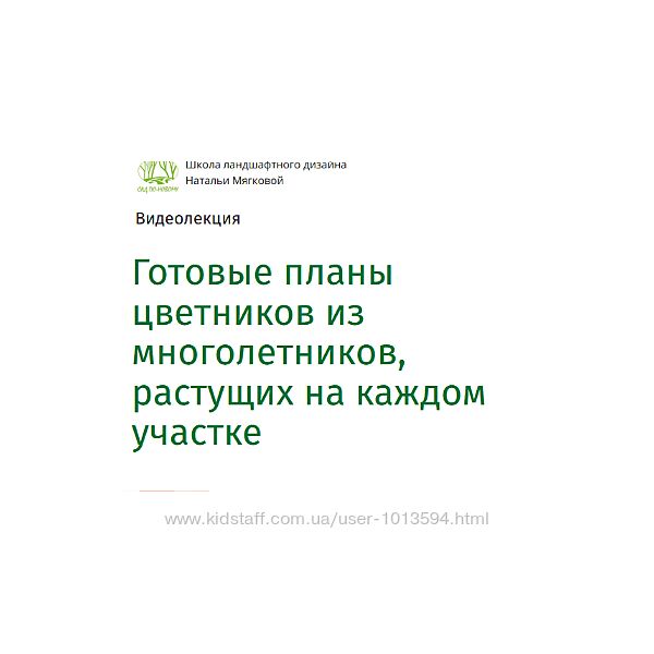Готовые планы цветников из многолетников растущих на каждом участке Мягкова