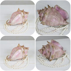 Даяна Лус Набор ИНТЕНСИВ для кондитеров Новогодний Гном Скворечник Вишня