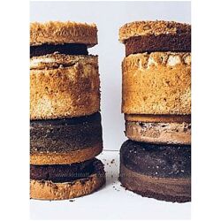 Бисквиты для высоких тортов Мария Бондарева bmbbakery