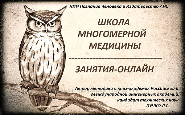 Школа Многомерной медицины. 24 онлайн-занятия Алла Слободянюк