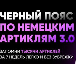Черный пояс по немецким артиклям 3.0 Елена Удалова