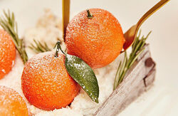 smuglyanochka Новогодний комплект Мандарин Пингвин, олень, собака Шишка