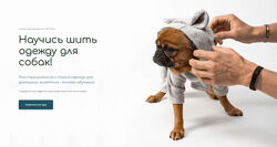 Конструирование и пошив одежды для домашних животных Антонина Баранова