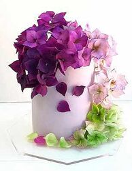 Курс Шокофлористика. Тариф Хочу максимум art. torte