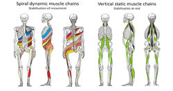 Спиральная стабилизация тела. Рихард Смишек
