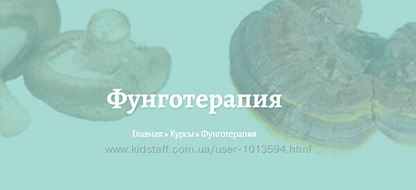 Фунготерапия Елена Миргородская