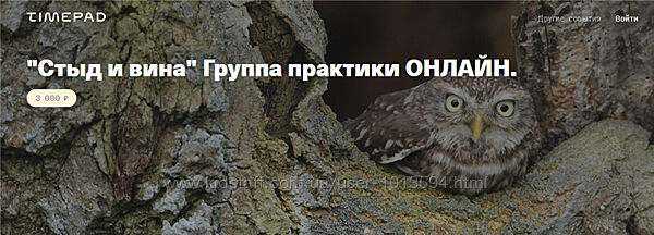 Стыд и вина. Группа практики онлайн Елена Веселаго