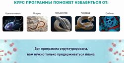 Полное антипаразитарное очищение Наташа Сведовая