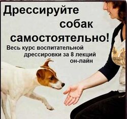 Дрессируйте собак самостоятельно Полный курс Софья Баскина