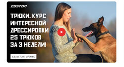 Трюки. Курс интересной дрессировки, 25 трюков за 3 недели Ирина Безуглая