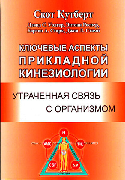 Ключевые аспекты Прикладной Кинезиологии Скот Кутберт