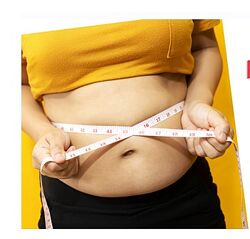 ShtDY Жиротоп 2.0 - для тех, кто За. Комплект курсов Тренировка с умом