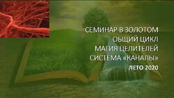 Атлантида Магия Целителей. День 1-8