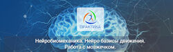Нейробиомеханика. Нейро базисы движения. Работа с мозжечком Альмир Марванов
