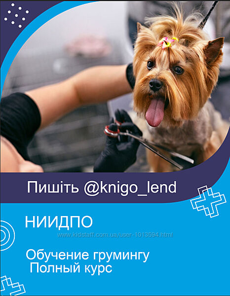 НИИДПО Обучение грумингу Полный курс