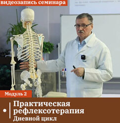 Сандал Владимир Кононов Набор курсов Практическая рефлексотерапия