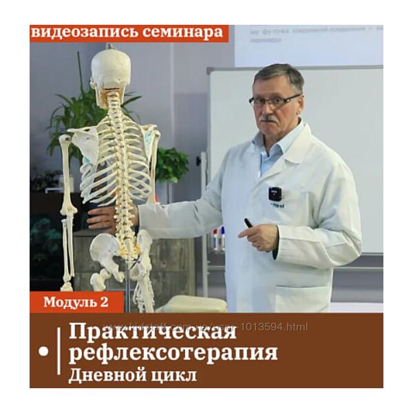 Сандал Владимир Кононов Набор курсов Практическая рефлексотерапия