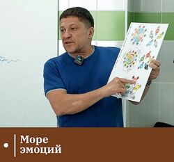 Евгений Казаков Набор курсов Море эмоций Классическая китайская медицина