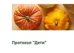 Протокол Дети 2024 Светлана Литвиненко