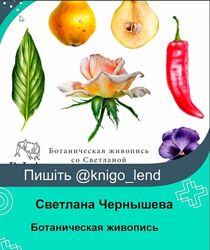 Ботаническая живопись Светлана Чернышева
