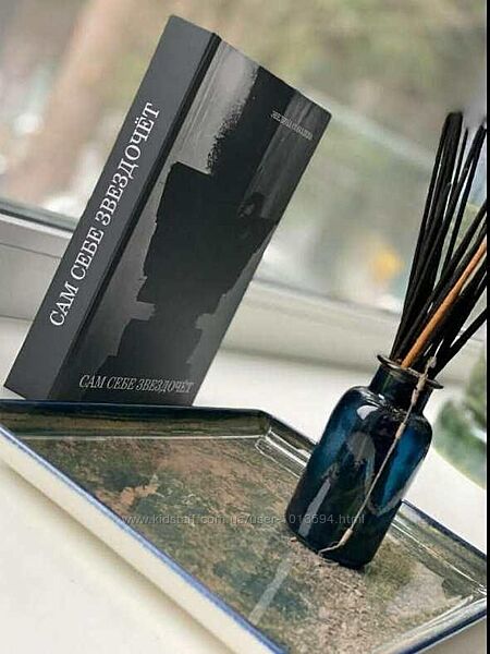 Сам себе звездочёт Эвелина Соболева