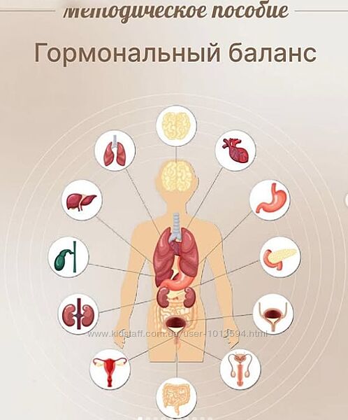 Методическое пособие Гормональный баланс Юлия Савельева