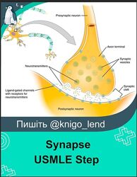 Synapse USMLE Step 1 Step 2