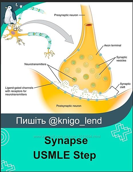 Synapse USMLE Step 1 Step 2 