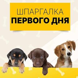 Шпаргалка первого дня Ольга Сысоева