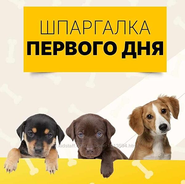 Шпаргалка первого дня Ольга Сысоева