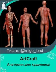 Анатомия для художника ArtCraft