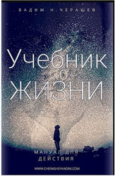 Учебник по жизни. Мануал для действия Вадим Черашев