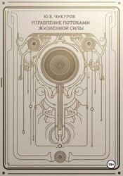 Управление потоками жизненной силы Юрий Чикуров 