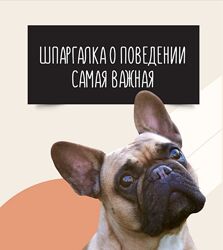 Шпаргалка о поведении Ольга Сысоева