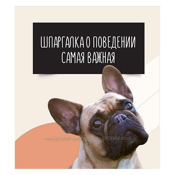 Шпаргалка о поведении Ольга Сысоева