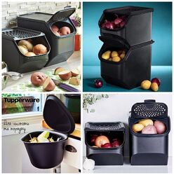 #6: Свежесть/Дыхание