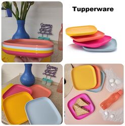 #5: Эко-Тарелки