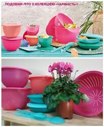 #3: КолекціяЧарівність