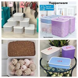 #3: АкваконтрольПрямокут