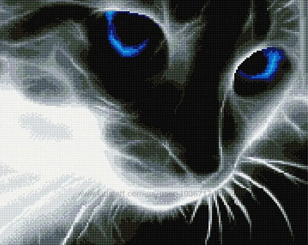 Картина зі страз блакиноокий кіт 40 х 50 см