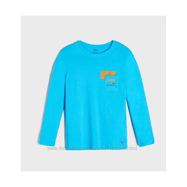 Реглан залишився на 9-10 років, маломірить