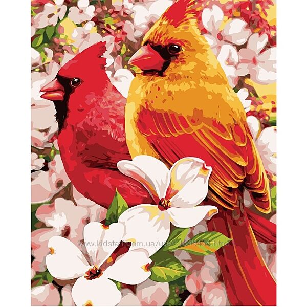 Картина по номерам VA-0922 Тропичные птицы в цветах