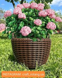 #1: Темно-коричневий 