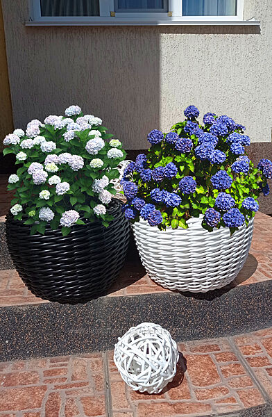 Якісні кашпо з ротангу 5л-65л Кашпо для цветов, ротанговые кашпо, шар, ваза