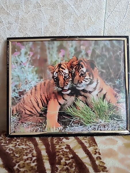 Фото картина природа лошадь тигрята