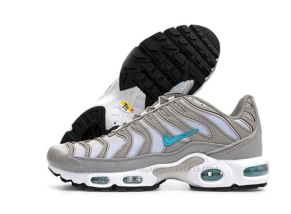 Мужские кроссовки Nike Air Max Plus TN Waterproof. Grey Blue
