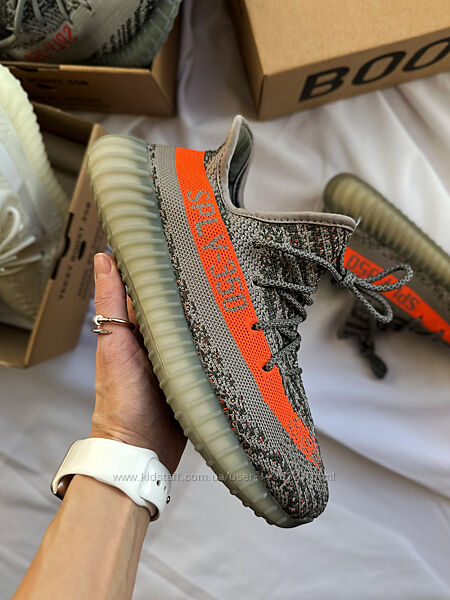 Кросівки Adidas Yeezy Boost 350 V2 Beluga Реф шнурки 
