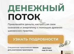 Александр Салогуб Денежный поток 2024