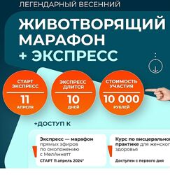 MelAnnett - Животворящий марафон  экспресс 2024 - Анна Мельникова